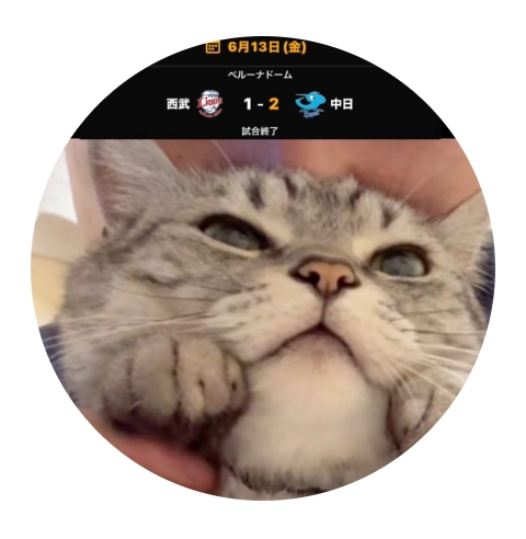 中日が勝った時だけ踊る猫か犬