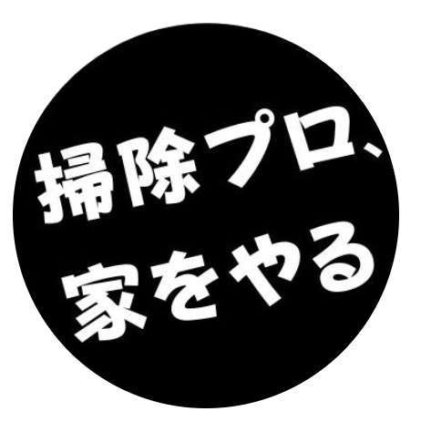 掃除のプロ、家をやる
