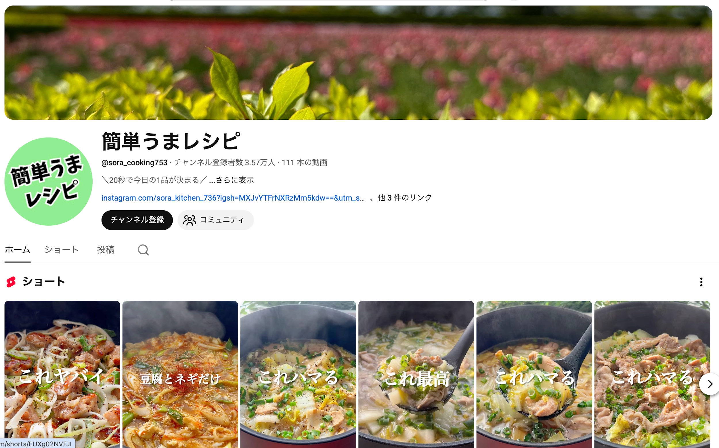 SNS Profile